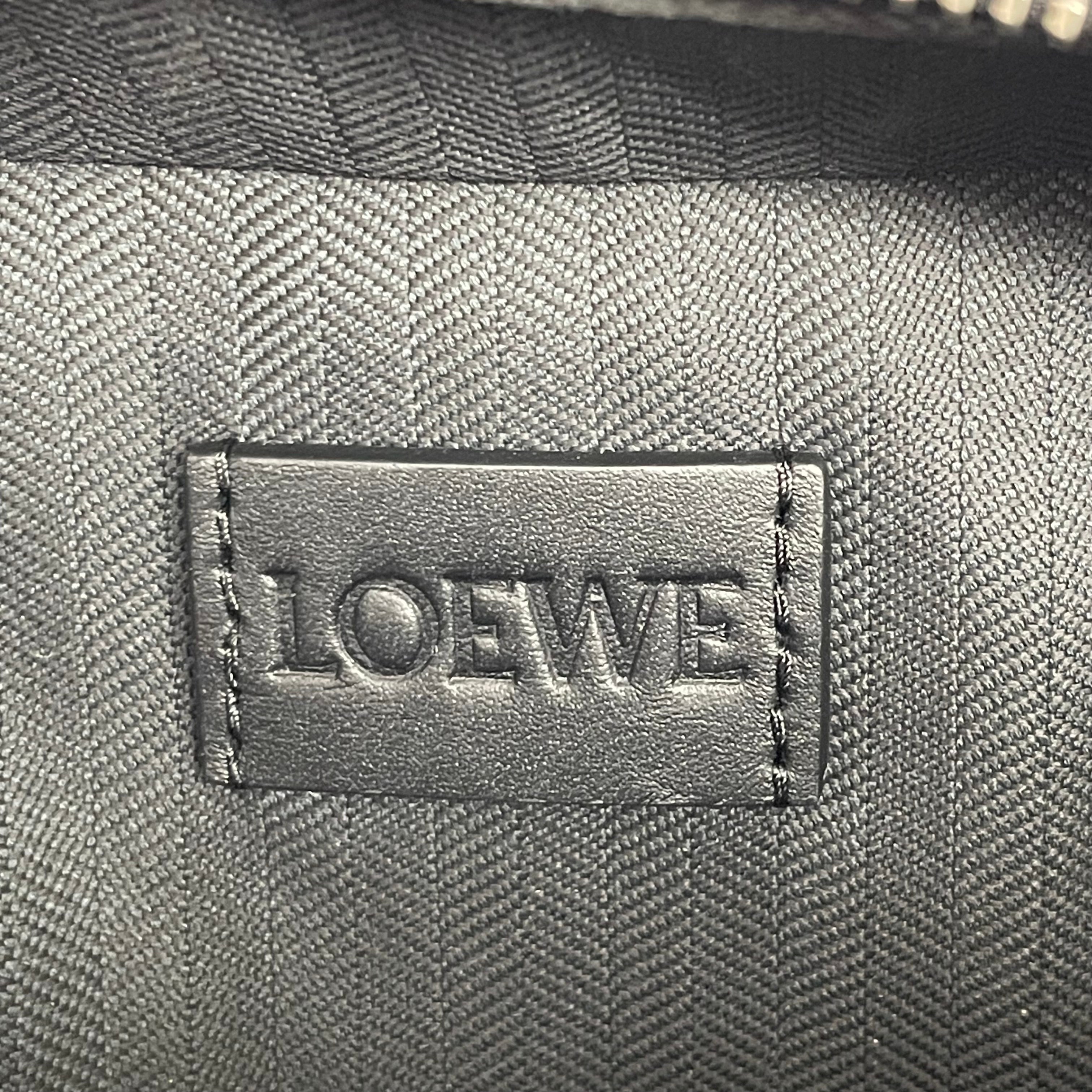 LOEWE_(ロエベ)_クロスボディ _カメラバッグ ミニ_中古品