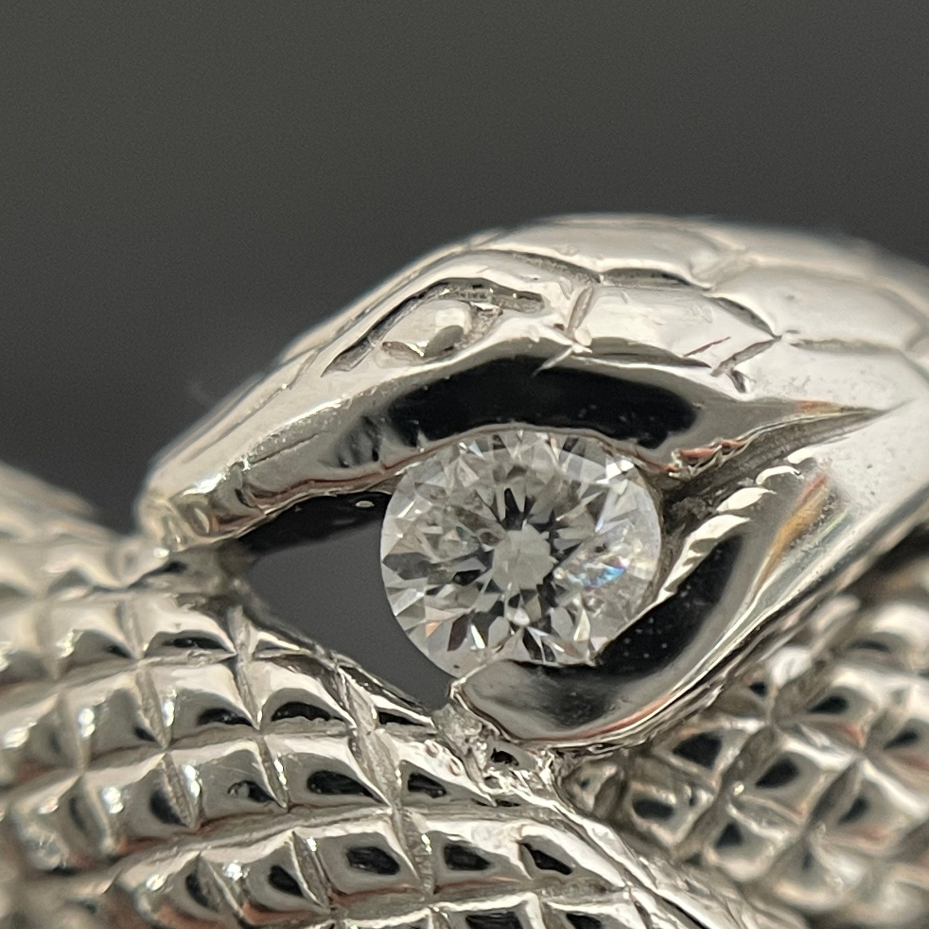 ノンブランド _Pt900ファッションリング_蛇モチーフ_6.7g/D0.1ct/#12号_ 中古品