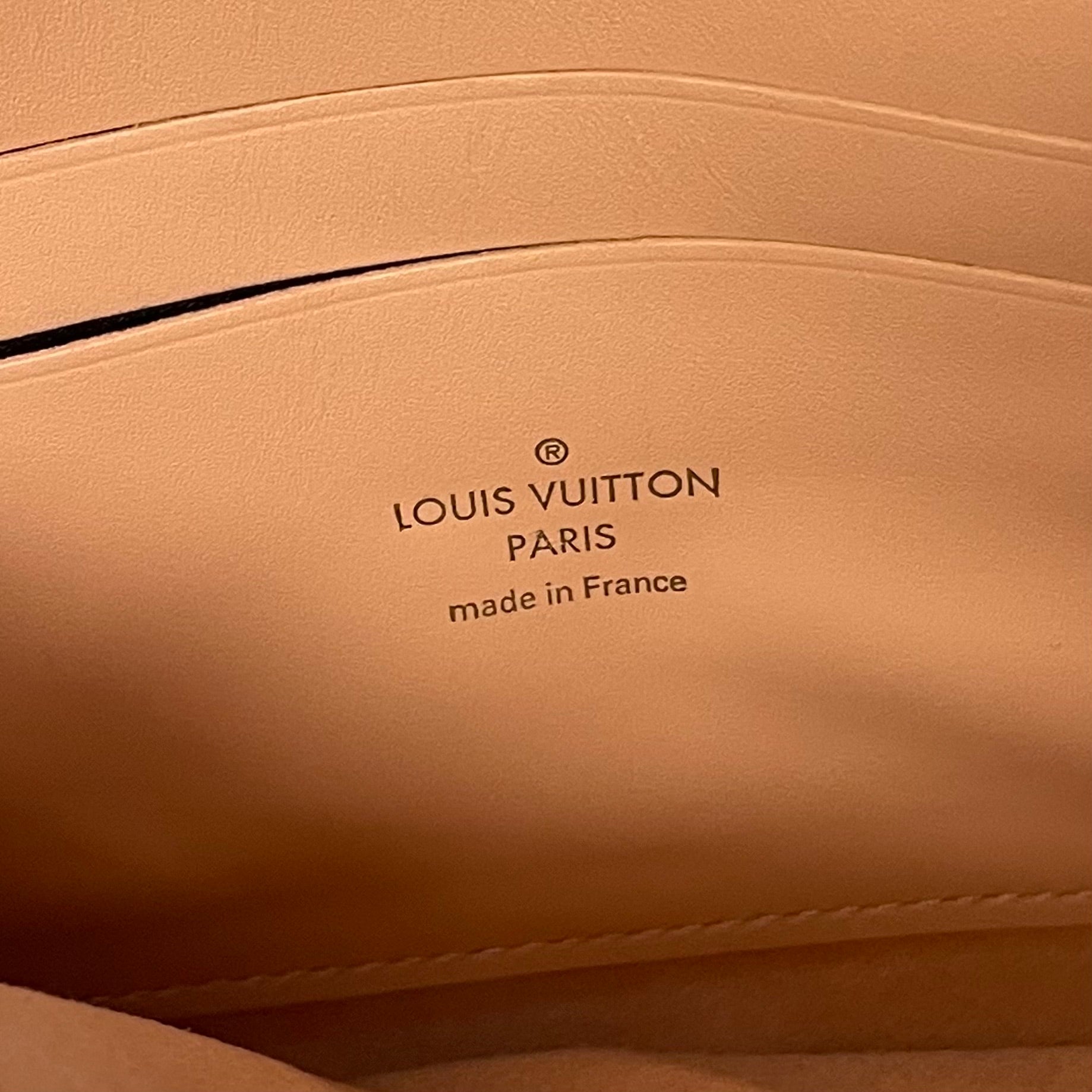 LOUIS VUITTON _(ルイヴィトン)_ダミエ エベヌ_ポシェット ドゥーブルジップ_N60254 _中古品
