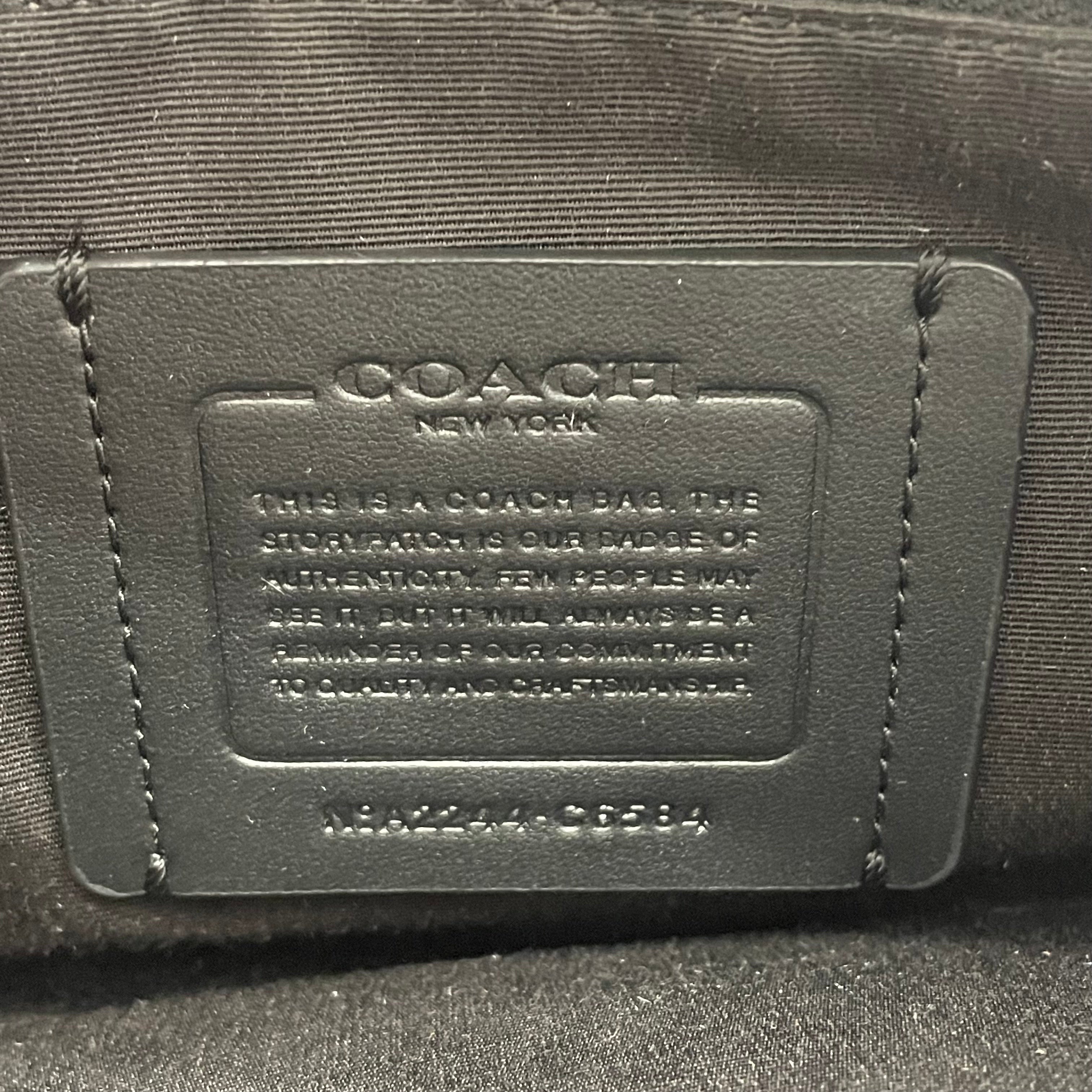 【送料無料】_ COACH_(コーチ)_レザー ショルダー _スモール カメラバッグ _C6584 _中古品