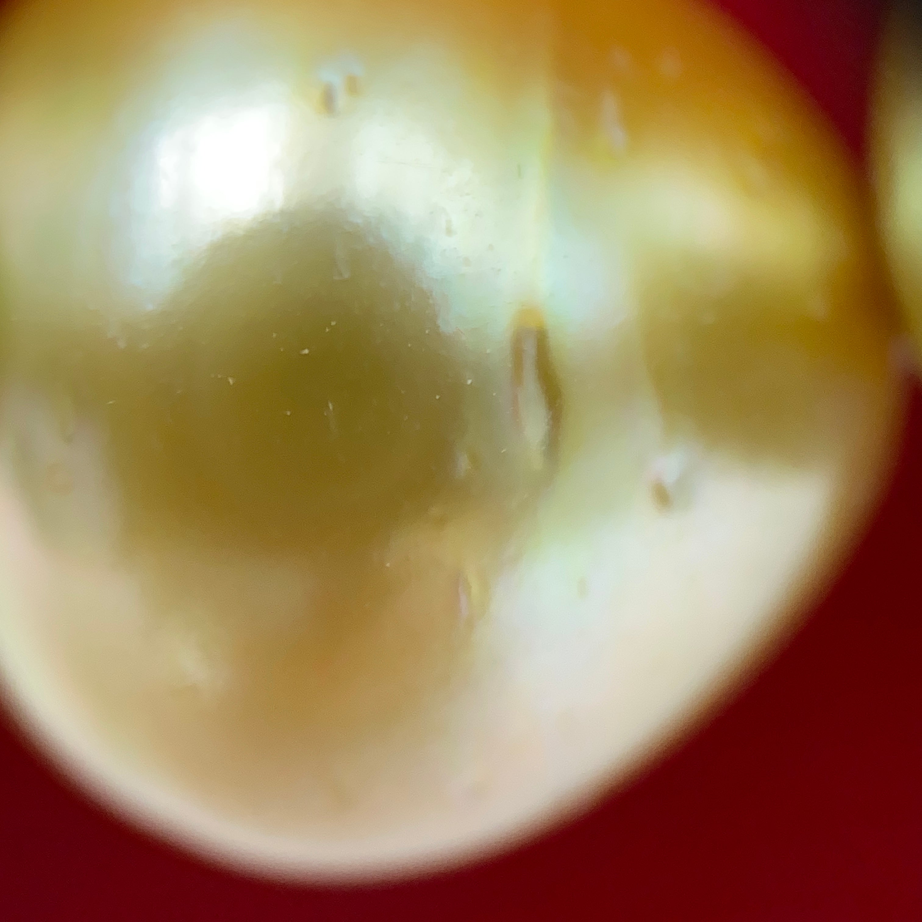 【送料無料】_ノンブランド_ゴールデンパール_ネックレス 11〜13.8㎜_中古品