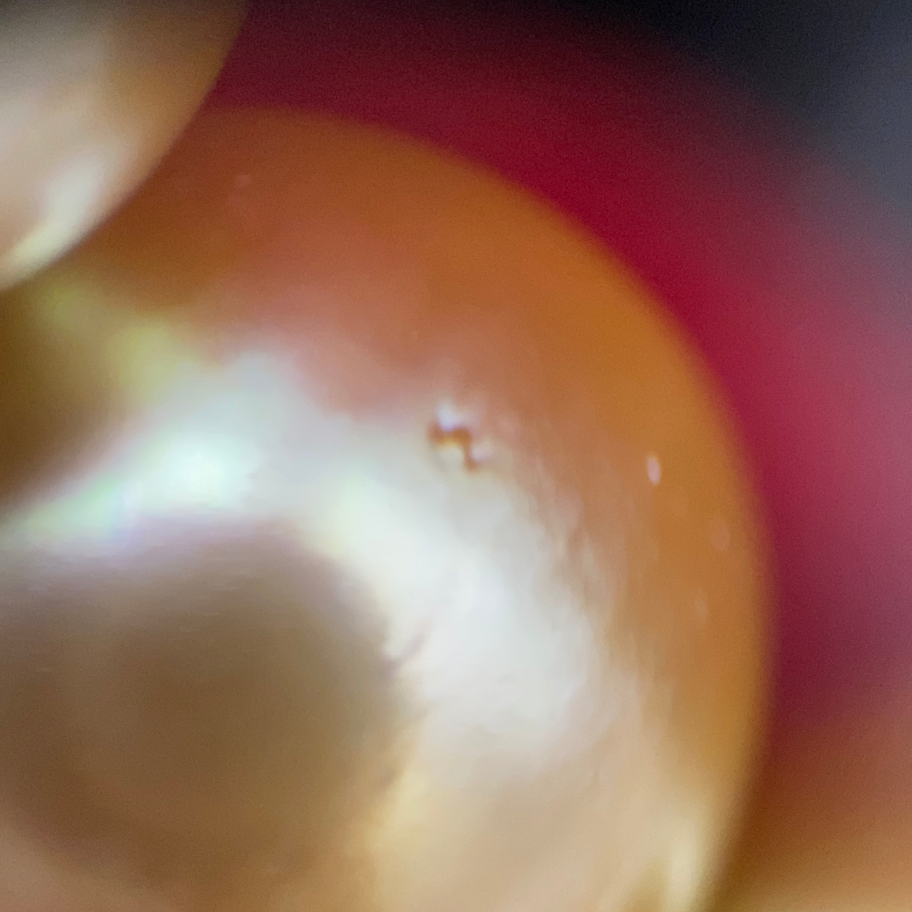 【送料無料】_ノンブランド_ゴールデンパール_ネックレス 11〜13.8㎜_中古品