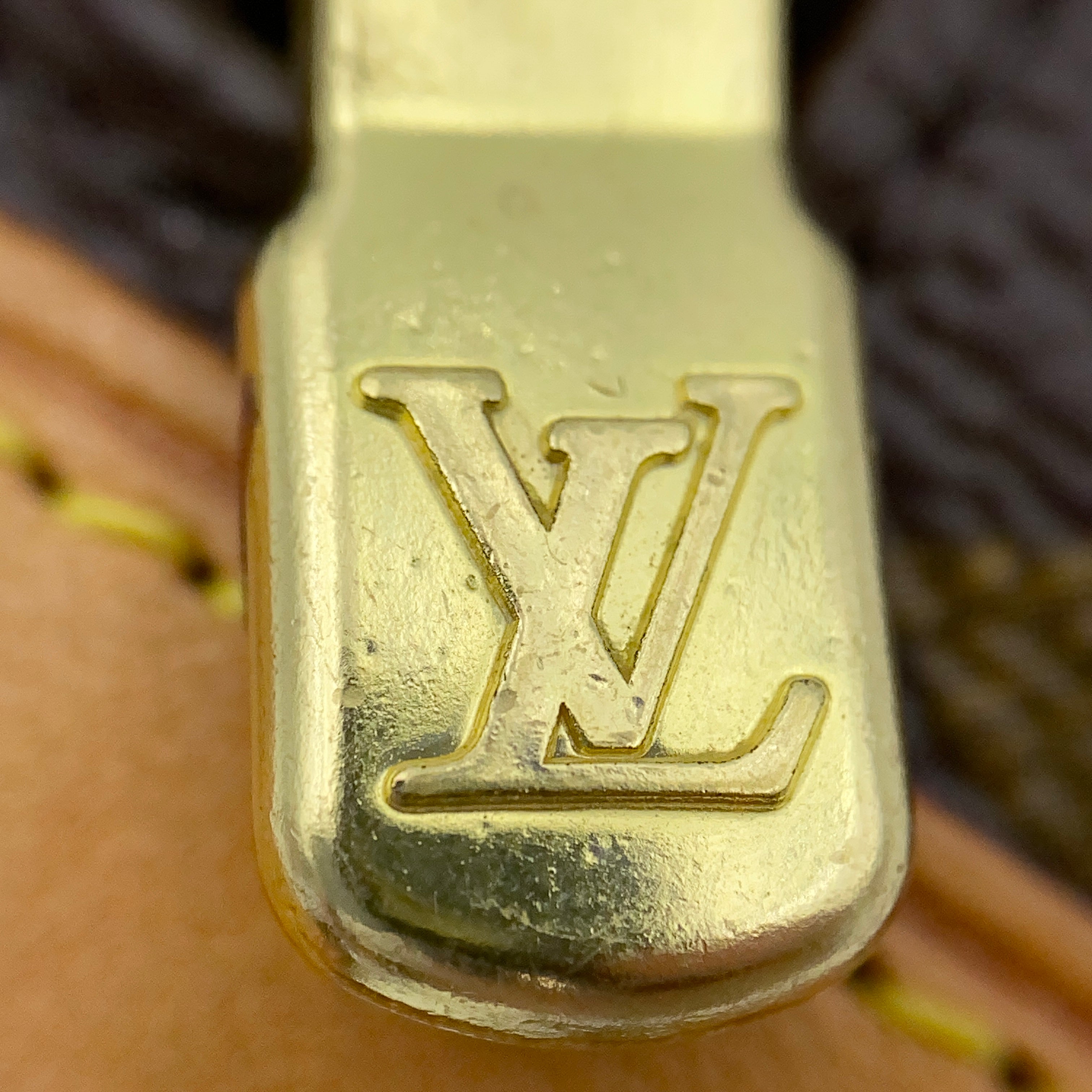 LOUIS VUITTON_(ルイヴィトン)_モノグラム トゥルース ワピティ_ストラップ付きミニポーチ_M58030_中古品