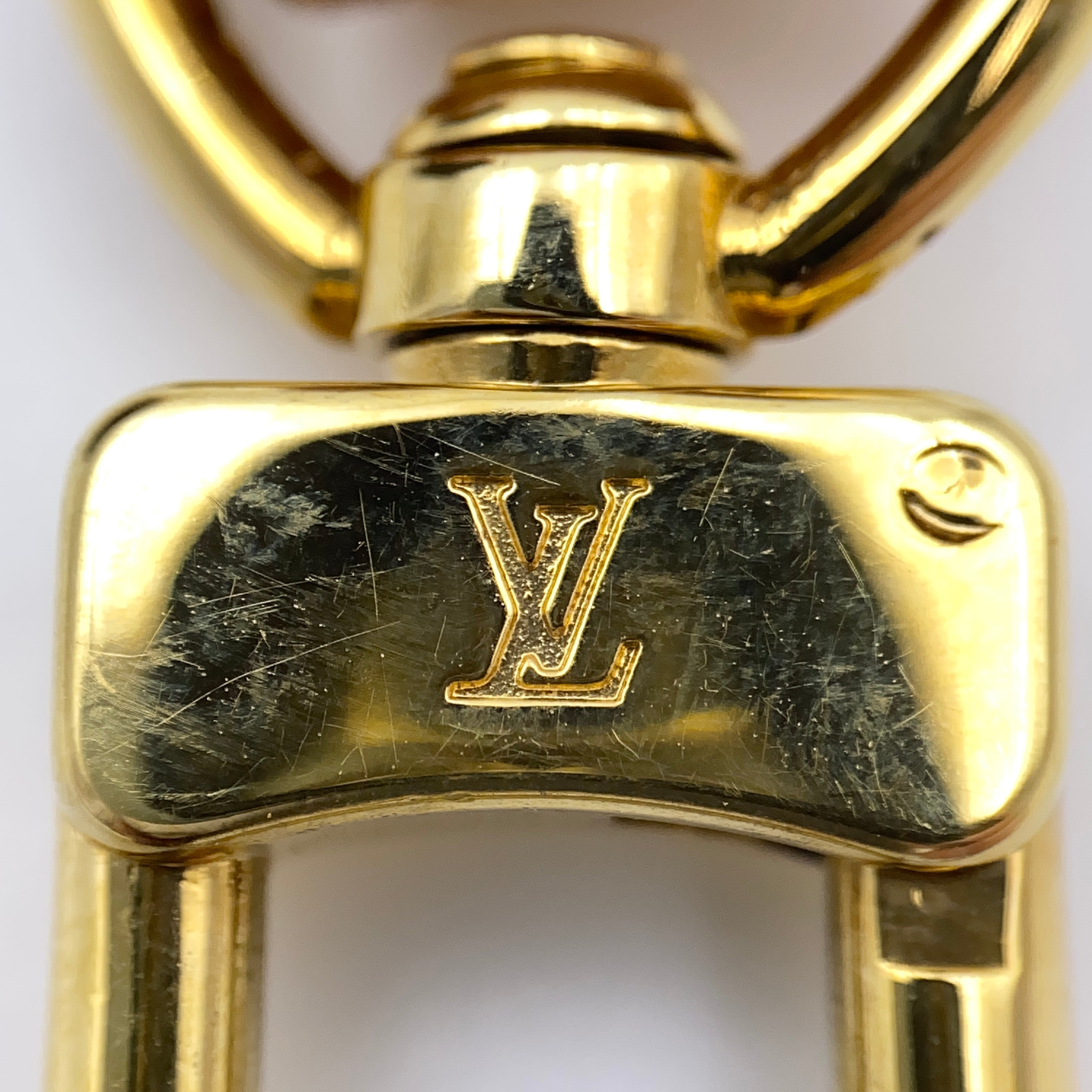 LOUIS VUITTON_(ルイヴィトン)_モノグラム トゥルース ワピティ_ストラップ付きミニポーチ_M58030_中古品