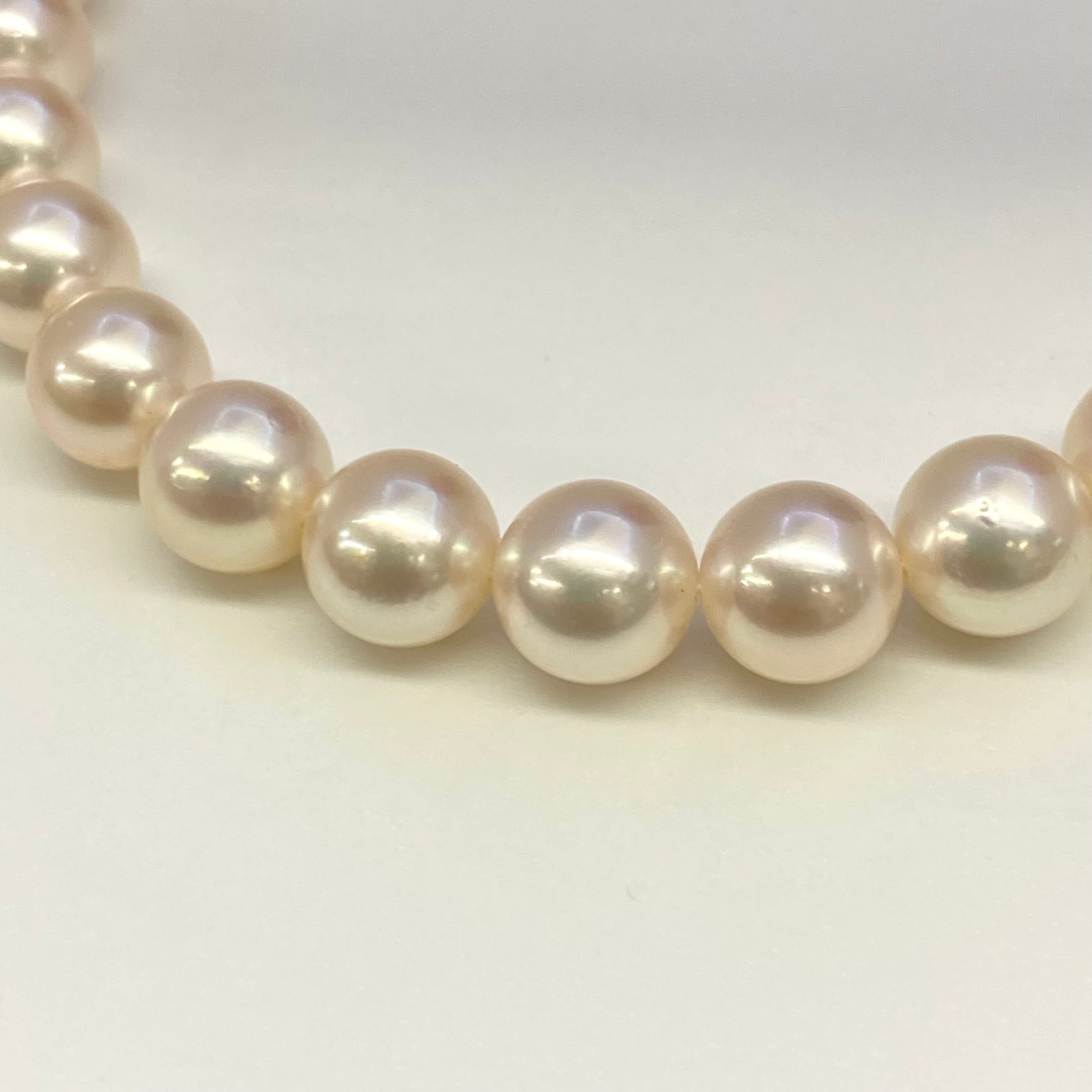 【送料無料】_TASAKI_(田崎)_アコヤパール(あこや真珠)_一連ネックレス_中古品