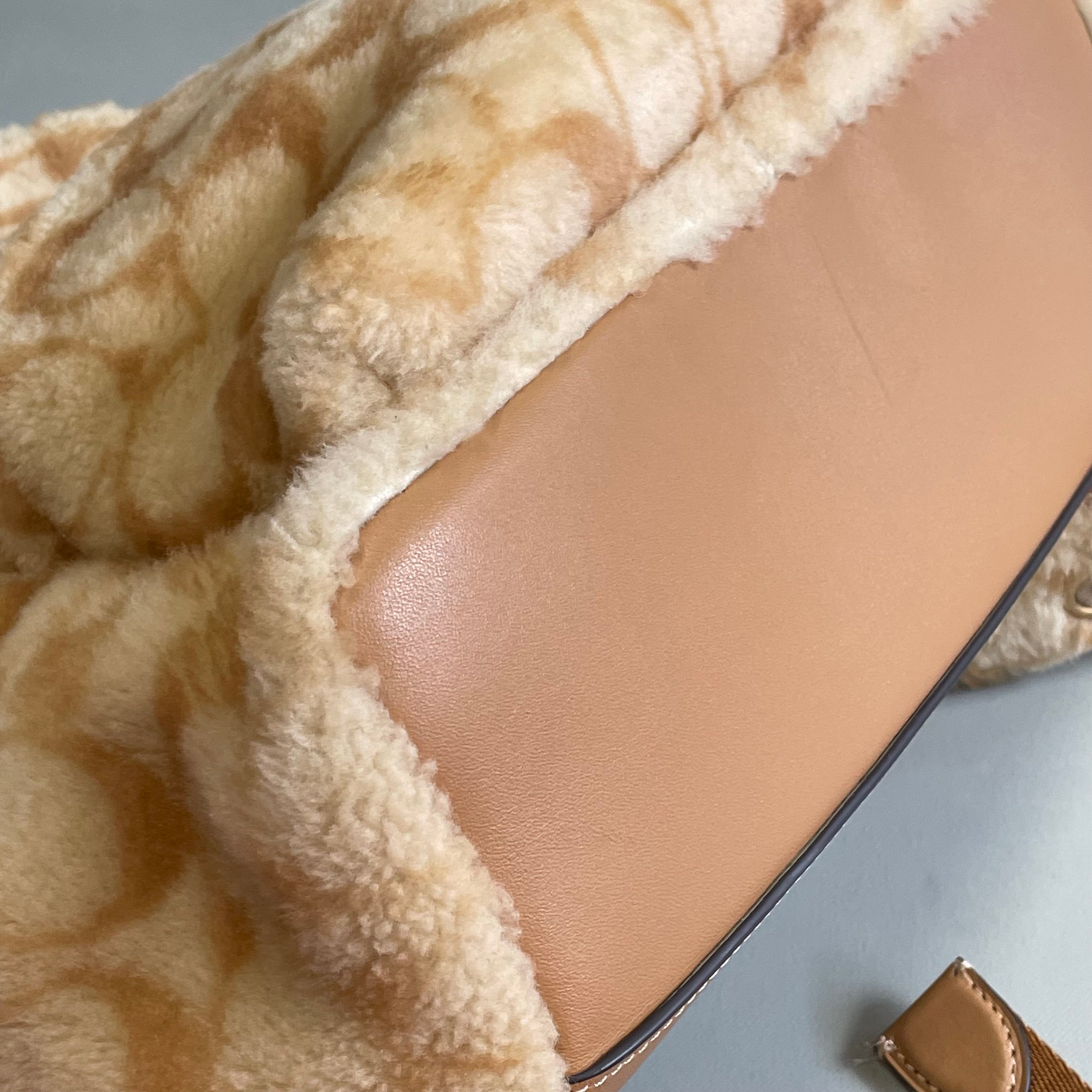 COACH_（コーチ）CC079_チャーター バックパック・_シグネチャー シアリング_中古品
